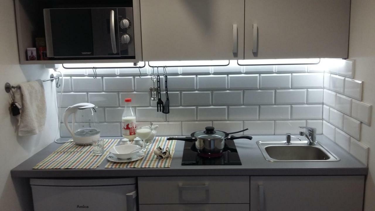 קרקוב Studio Na Powislu מראה חיצוני תמונה