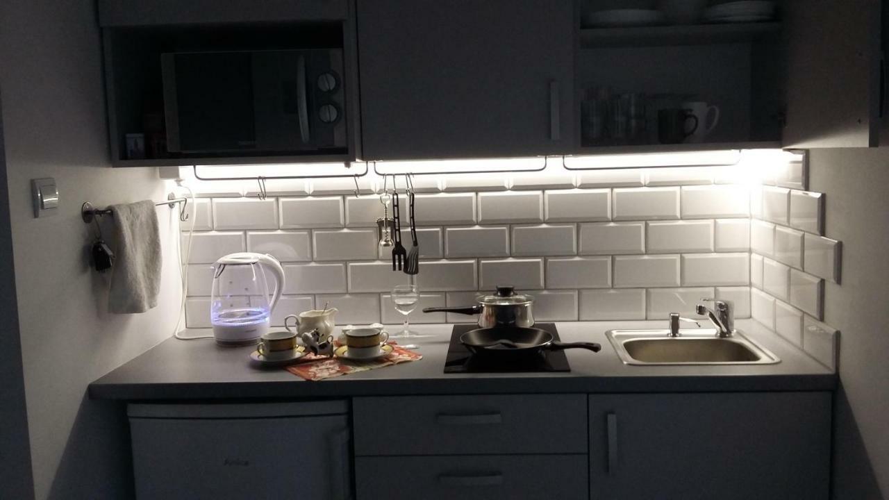 קרקוב Studio Na Powislu מראה חיצוני תמונה